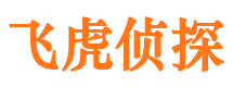 港口市侦探公司